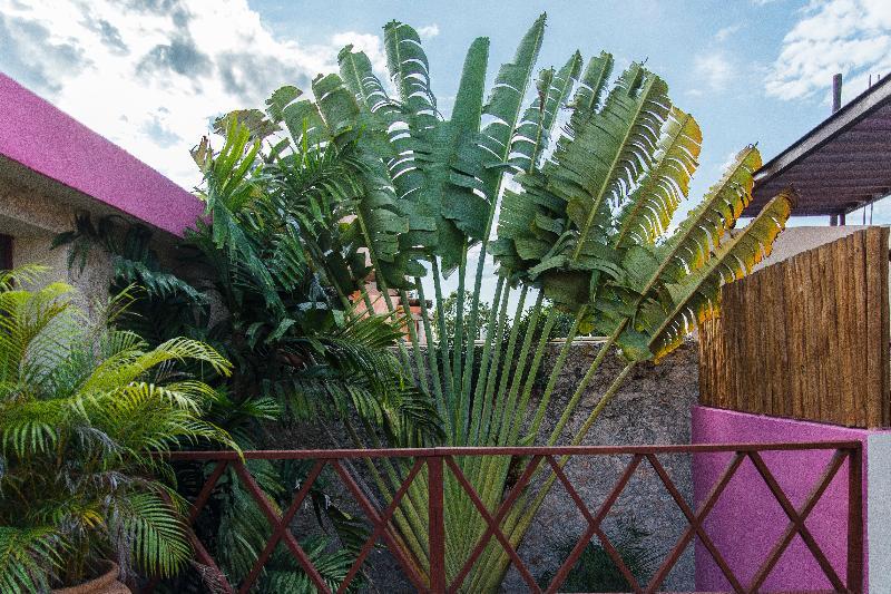 Art 57 Hotel - Adults Only Mérida Dış mekan fotoğraf