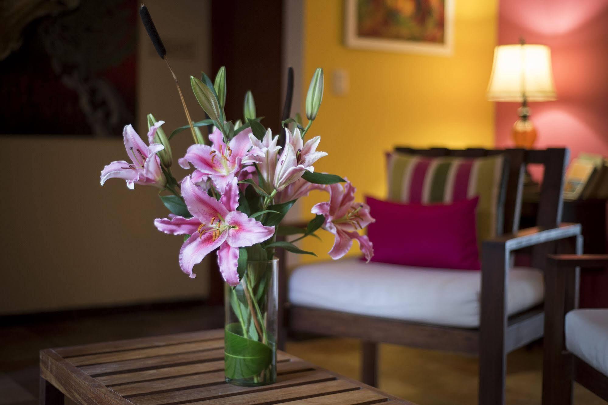 Art 57 Hotel - Adults Only Mérida Dış mekan fotoğraf